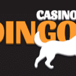 dingo casino