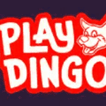 play dingo casino